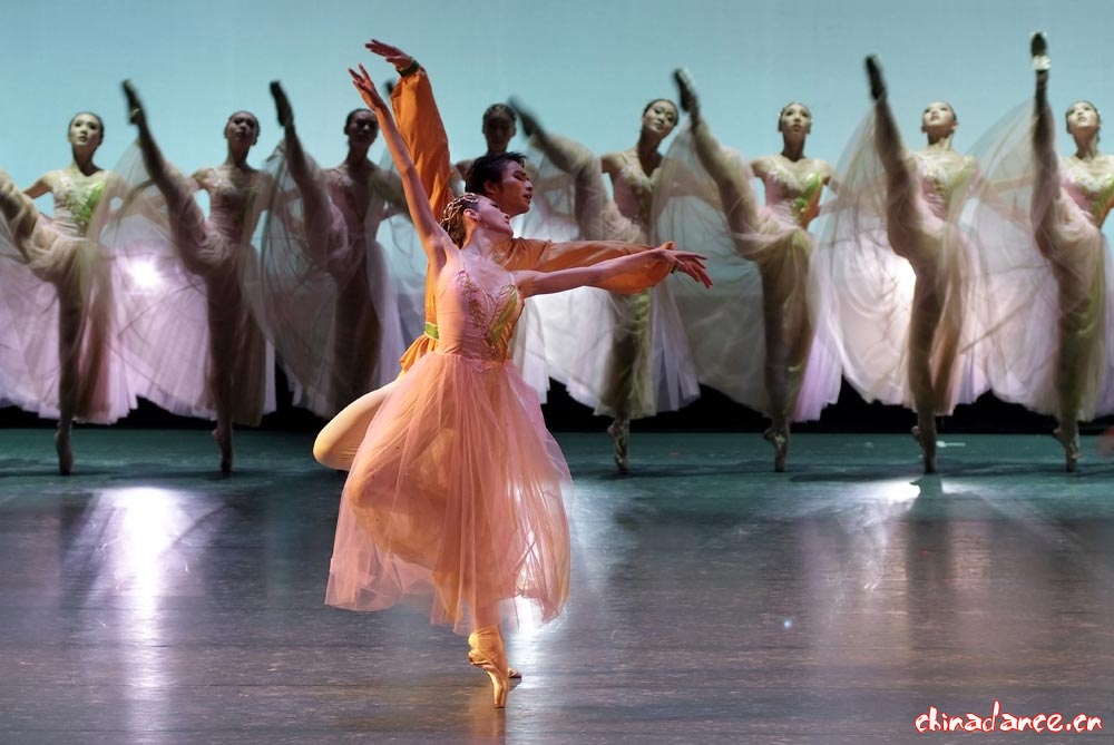 秋 第九届桃李杯舞蹈比赛