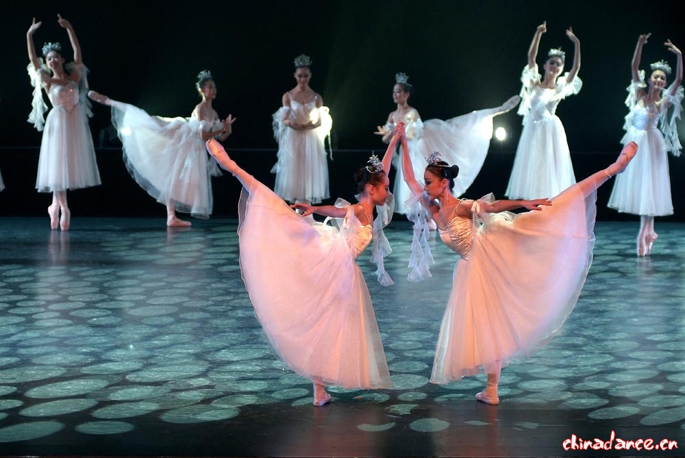 榕树仙子 第九届桃李杯舞蹈比赛