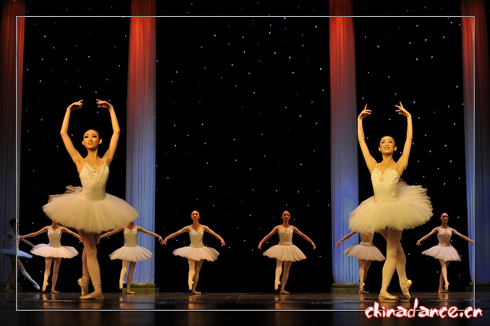 2010年10月29日辽宁芭蕾舞团三十周年庆典《堂吉诃德》 (11).jpg