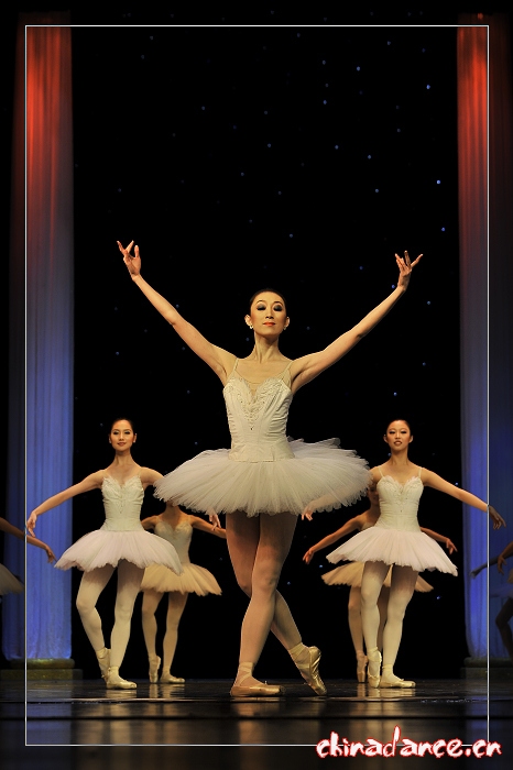 2010年10月29日辽宁芭蕾舞团三十周年庆典《堂吉诃德》 (12).jpg