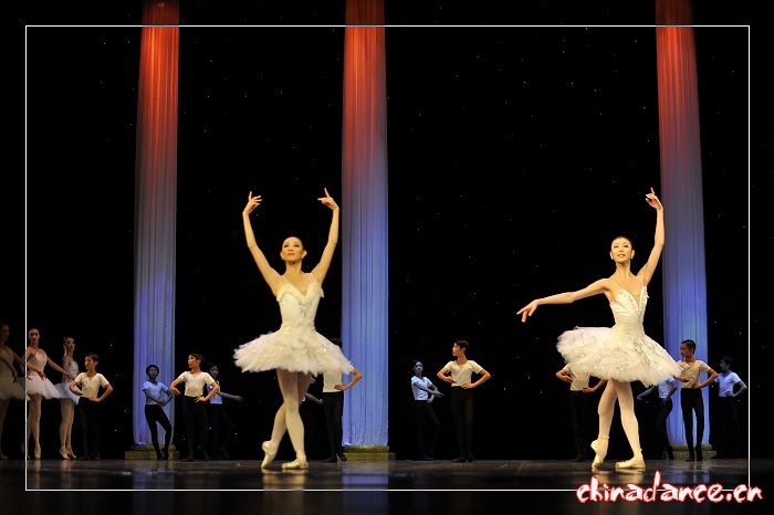 2010年10月29日辽宁芭蕾舞团三十周年庆典《堂吉诃德》 (14).jpg