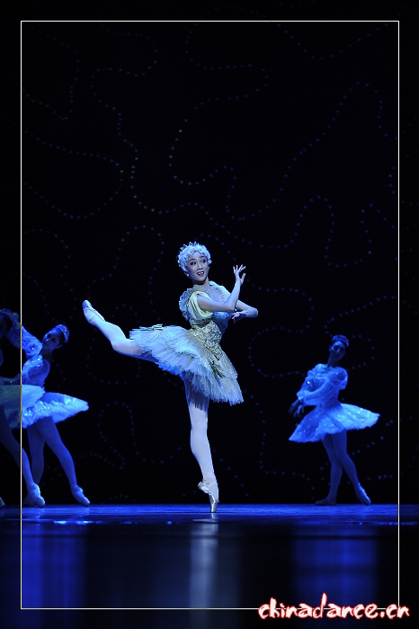 2010年10月29日辽宁芭蕾舞团三十周年庆典《堂吉诃德》 (183).jpg