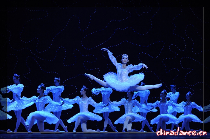 2010年10月29日辽宁芭蕾舞团三十周年庆典《堂吉诃德》 (201).jpg