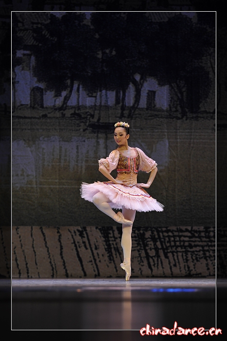 2010年10月29日辽宁芭蕾舞团三十周年庆典《堂吉诃德》 (256).jpg