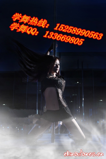 钢管舞珊珊5.jpg