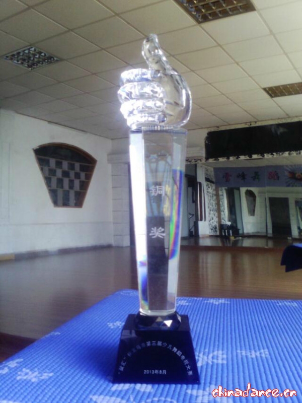 铜奖.jpg