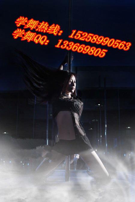 钢管舞珊珊5.jpg