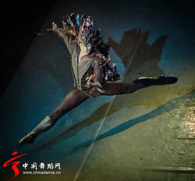 新西伯利亚芭蕾舞团 天鹅湖06.jpg