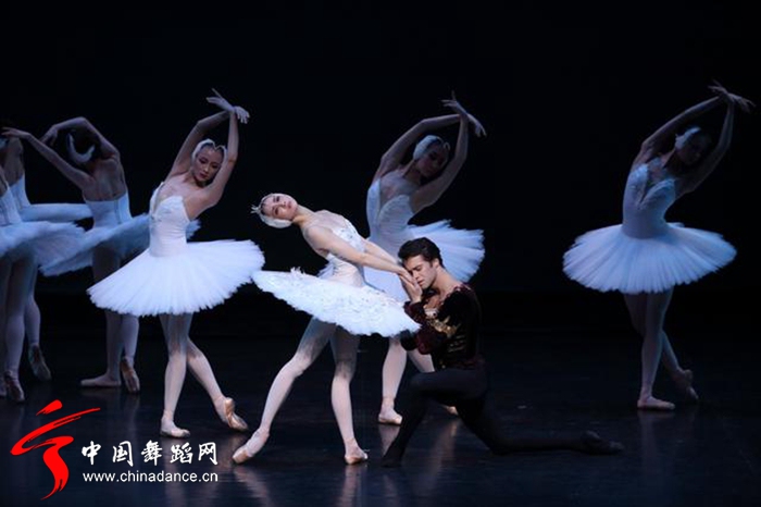 中央芭蕾舞团 天鹅湖22.jpg
