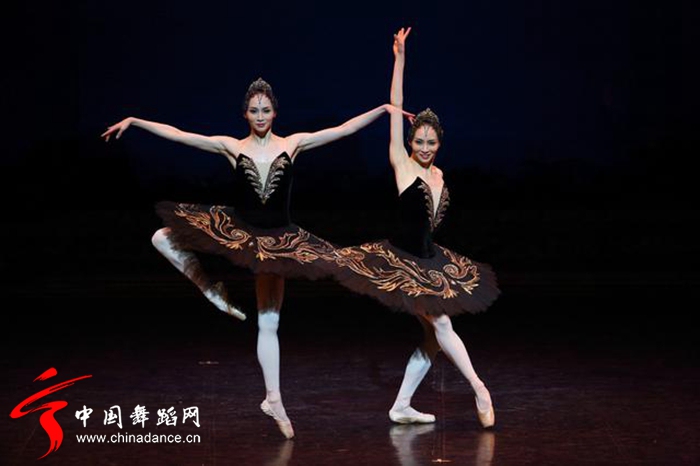 中央芭蕾舞团 天鹅湖46.jpg