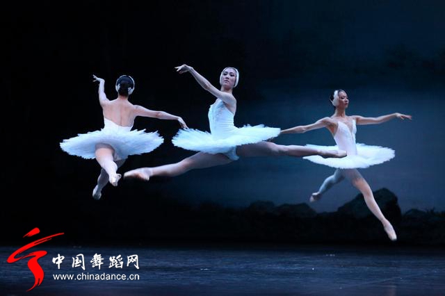 中央芭蕾舞团 马卡洛娃版本 天鹅湖17.jpg