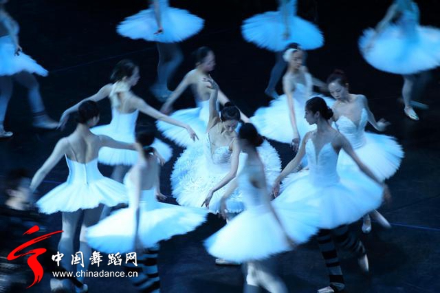 中央芭蕾舞团 马卡洛娃版本 天鹅湖20.jpg