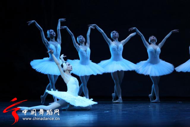 中央芭蕾舞团 马卡洛娃版本 天鹅湖22.jpg