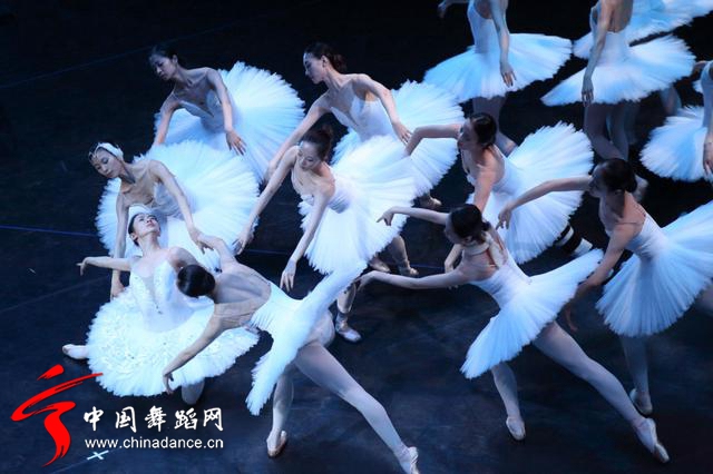中央芭蕾舞团 马卡洛娃版本 天鹅湖26.jpg