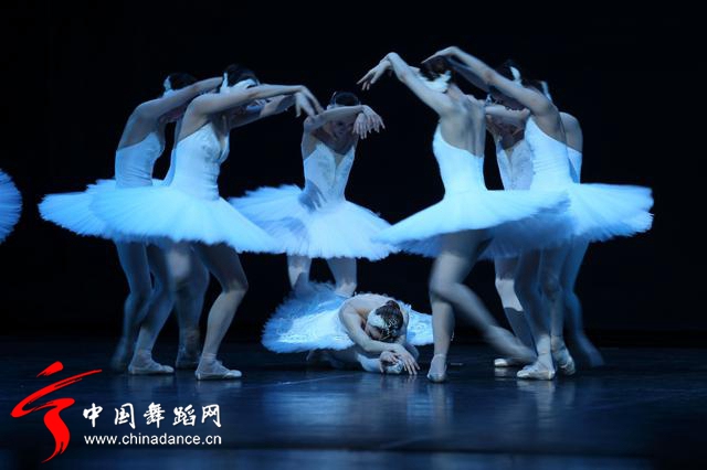 中央芭蕾舞团 马卡洛娃版本 天鹅湖28.jpg