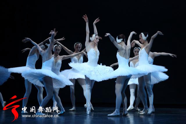 中央芭蕾舞团 马卡洛娃版本 天鹅湖44.jpg