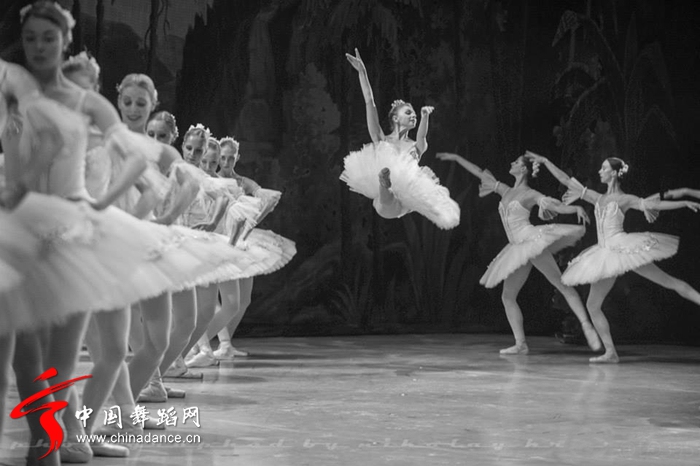 摄影师Nikolay Krusser拍摄的芭蕾“堂吉诃德”07.jpg
