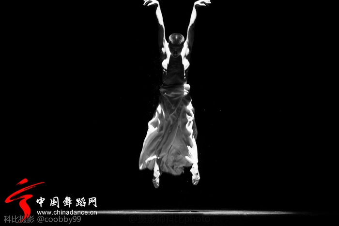 第三届福建舞蹈“百合花奖”专业舞蹈大赛16.jpg