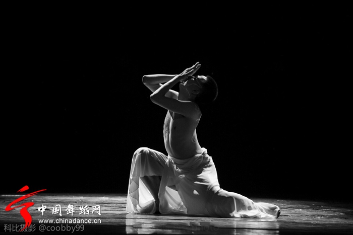 第三届福建舞蹈“百合花奖”专业舞蹈大赛18.jpg