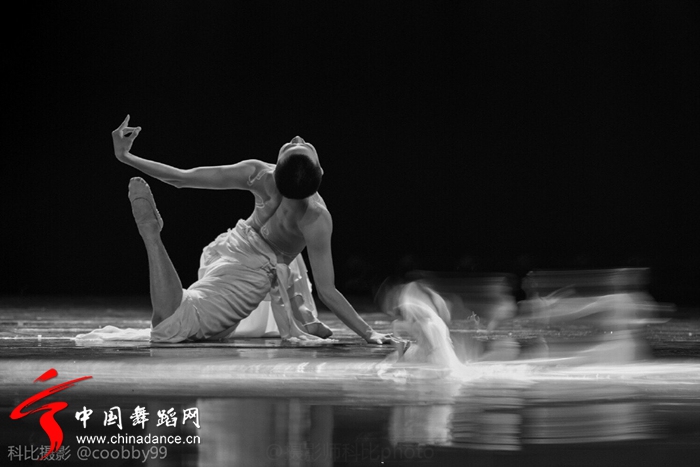 第三届福建舞蹈“百合花奖”专业舞蹈大赛24.jpg