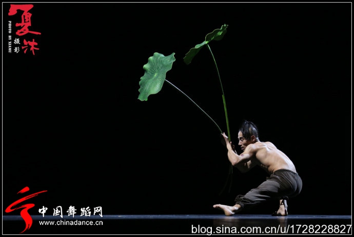 北京现代舞团作品 二十四节气花间十二声154.jpg