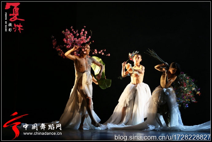 北京现代舞团作品 二十四节气花间十二声160.jpg