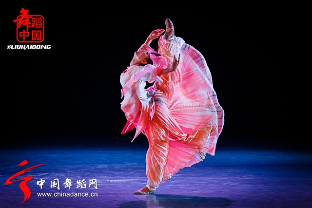 第十四届北京舞蹈大赛决赛05.jpg