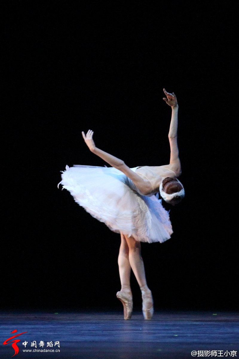 芭蕾Gala《天鹅之死》乌里安娜·洛帕特金娜（Lopa）