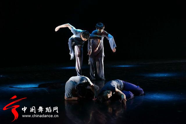 中国舞蹈家协会 青年舞蹈人才培育计划02.jpg