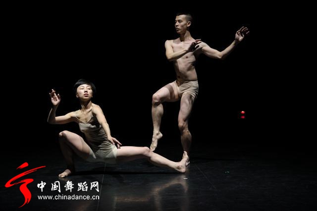 中国舞蹈家协会 青年舞蹈人才培育计划01.jpg