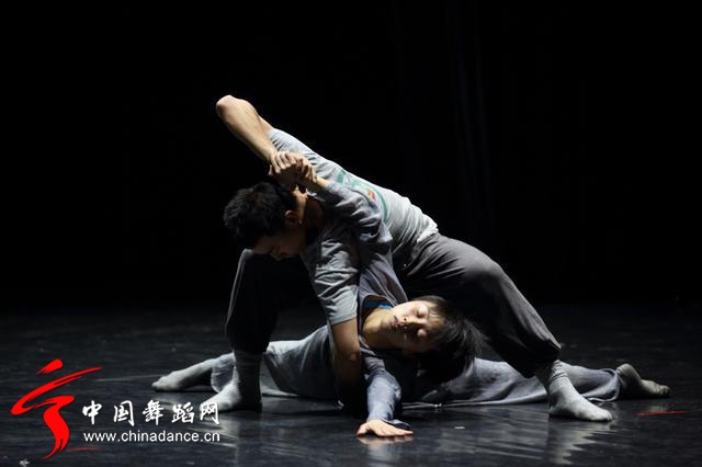 中国舞蹈家协会 青年舞蹈人才培育计划03.jpg