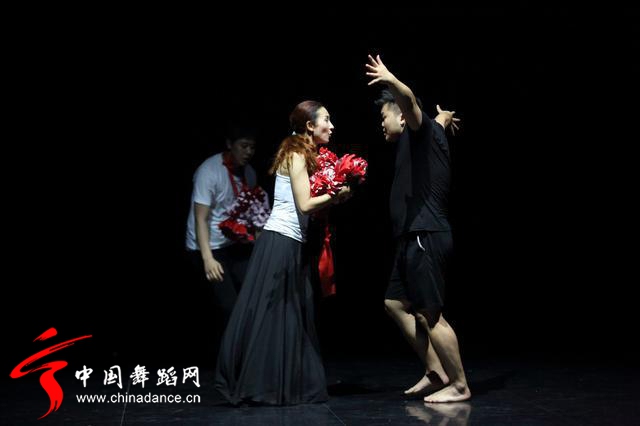 中国舞蹈家协会 青年舞蹈人才培育计划08.jpg