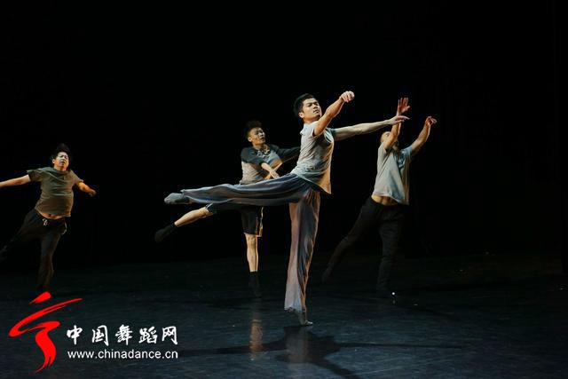 中国舞蹈家协会 青年舞蹈人才培育计划07.jpg