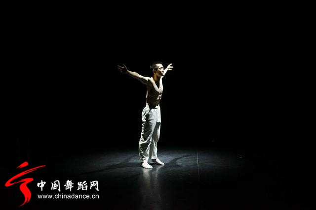 中国舞蹈家协会 青年舞蹈人才培育计划09.jpg