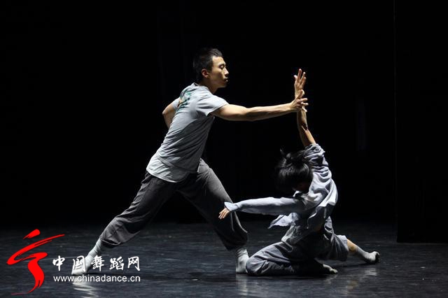 中国舞蹈家协会 青年舞蹈人才培育计划11.jpg