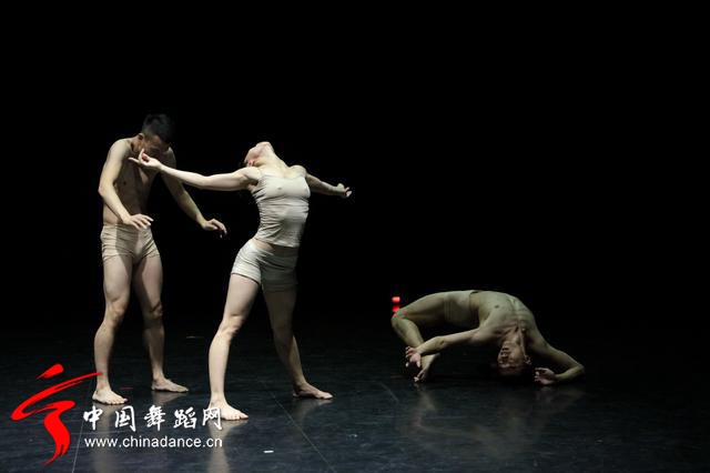 中国舞蹈家协会 青年舞蹈人才培育计划13.jpg