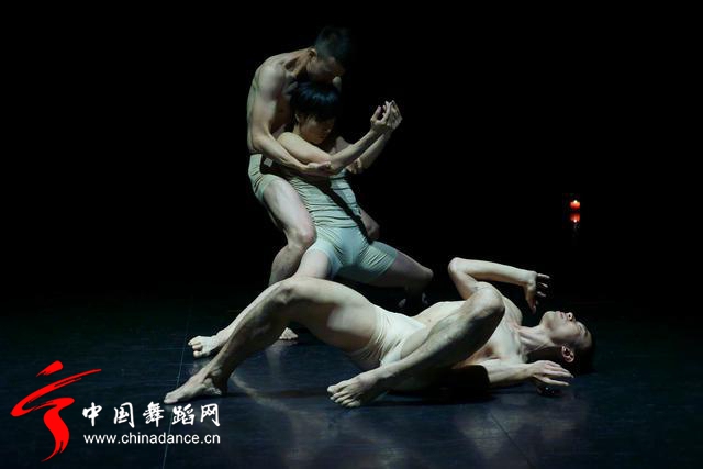 中国舞蹈家协会 青年舞蹈人才培育计划17.jpg
