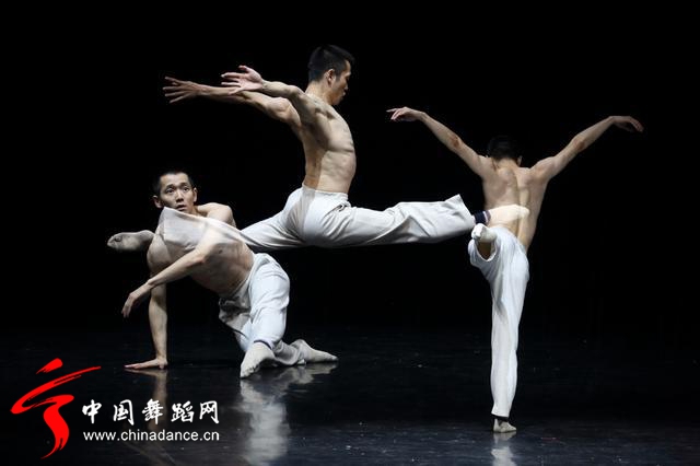 中国舞蹈家协会 青年舞蹈人才培育计划20.jpg