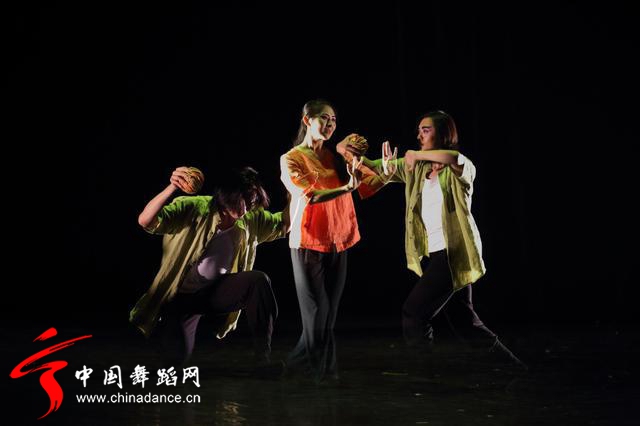 中国舞蹈家协会 青年舞蹈人才培育计划23.jpg