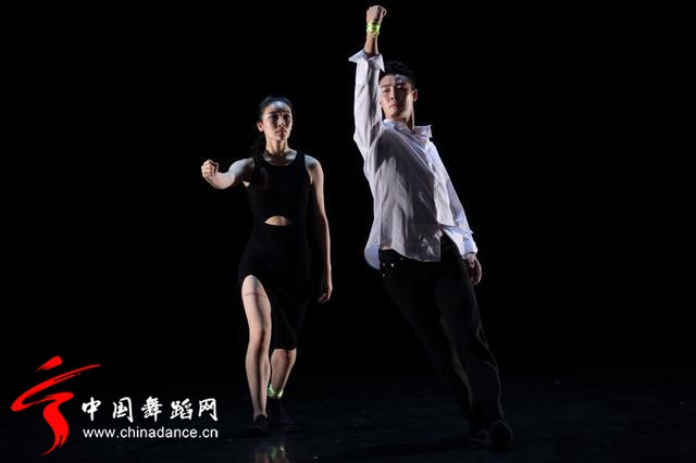 中国舞蹈家协会 青年舞蹈人才培育计划22.jpg