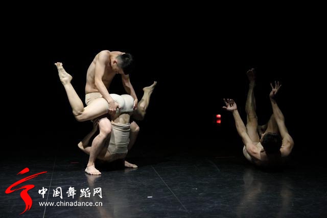 中国舞蹈家协会 青年舞蹈人才培育计划26.jpg