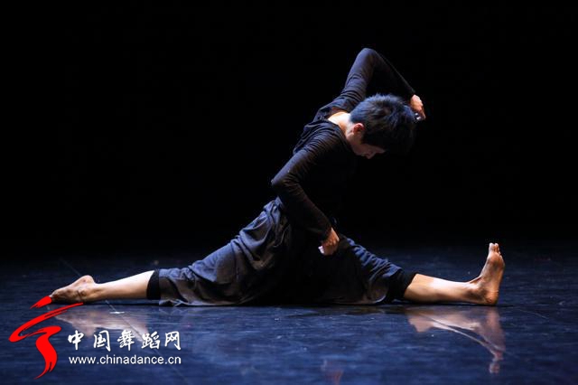 中国舞蹈家协会 青年舞蹈人才培育计划41.jpg