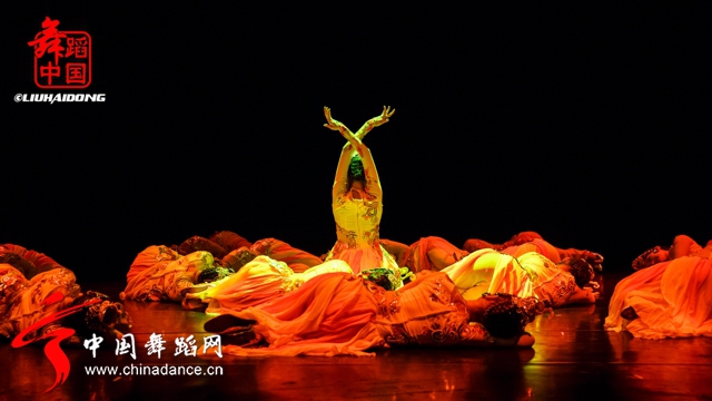 中国好舞蹈冠军古丽米娜个人专场《花之情09.jpg
