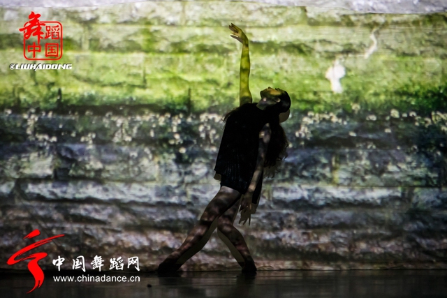 北京师范大学2013级MFA（舞蹈）毕业汇报《浮生若寄》82.jpg