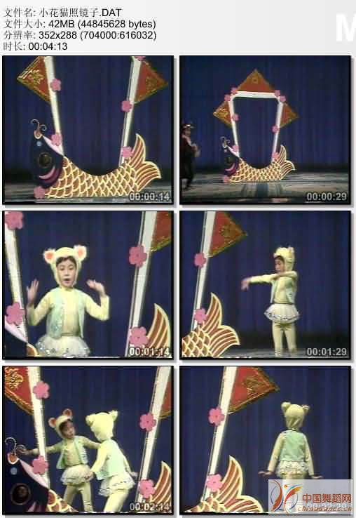 小花猫照镜子剧照