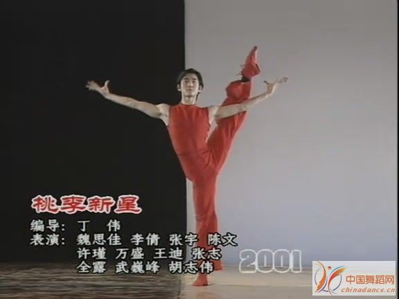 央视春节晚会十年精粹(94-03年) 系列C[(001112)00-41-22].JPG