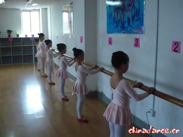 金苹果艺术幼儿园参加第八届江苏省少儿舞蹈考级剪影16.jpg