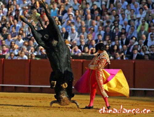 斗牛的最高境界