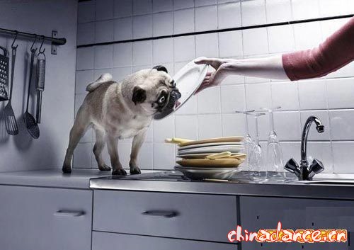 洗碗的最高境界　
