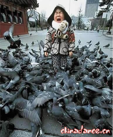 第一次面对这么多粉丝